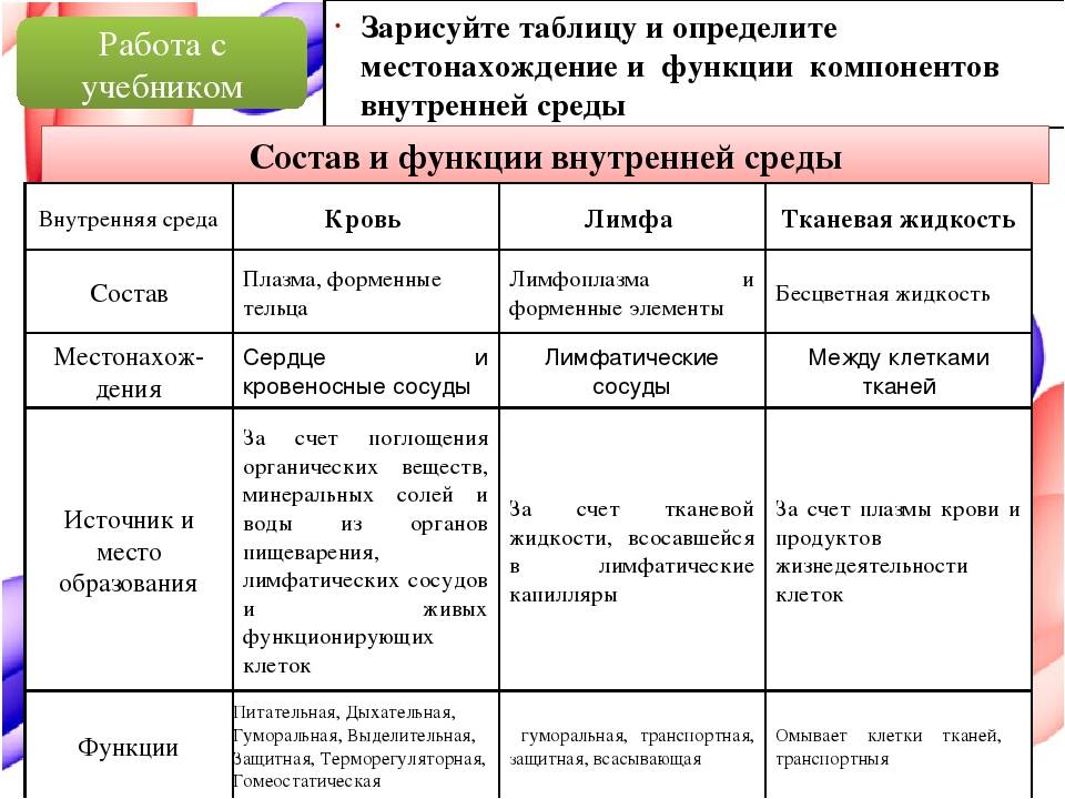 Сравнительная характеристика 8 класс русский язык презентация