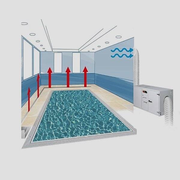 Как выбрать осушитель воздуха для бассейна
