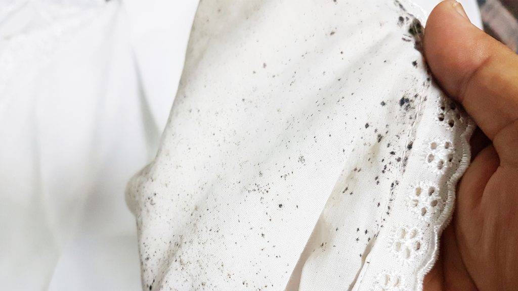 Как избавиться от запаха сырости на одежде: простые способы для разных видов ткани