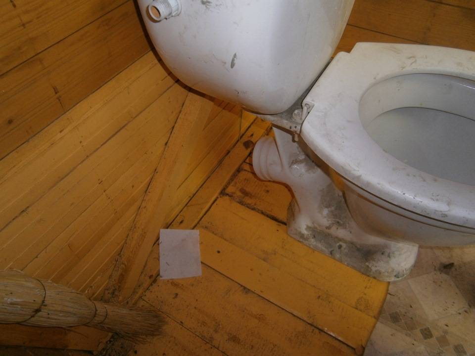 Дачный туалет – из чего сделан, какой выбрать унитаз, как лучше замаскировать туалет?