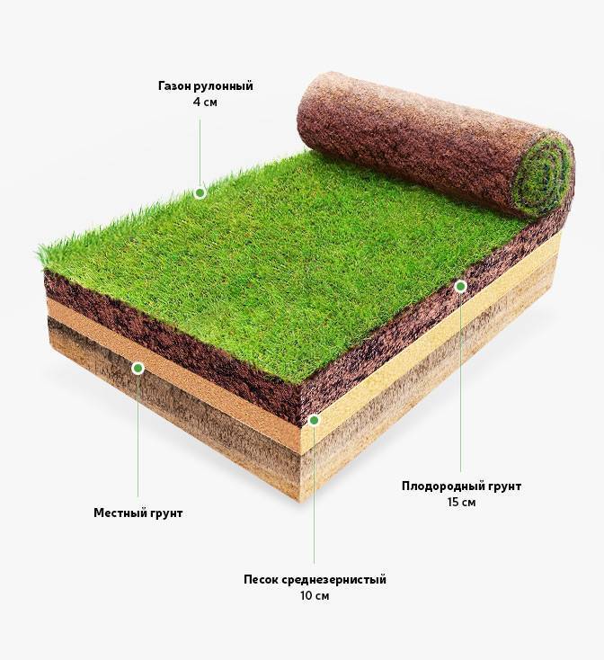 Укладка газона своими руками не так уж и сложна. ее успех во многом зависит соблюдения технологии.