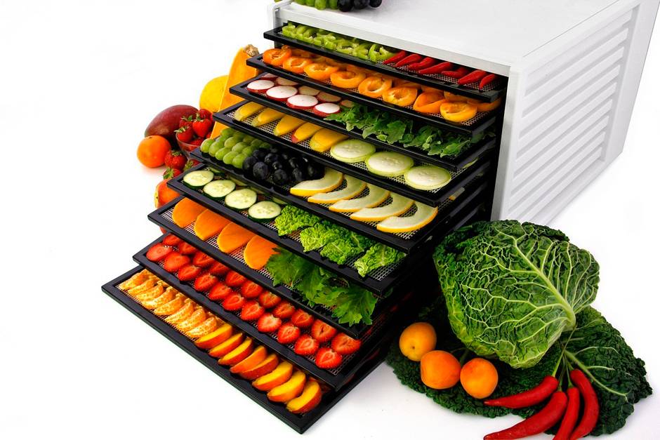 Как выбрать сушилку для овощей и фруктов: правила выбора и обзор 5 лучших устройств