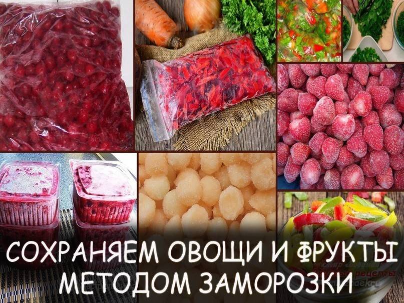 Как замораживать овощи? заморозка овощей в домашних условиях :: syl.ru