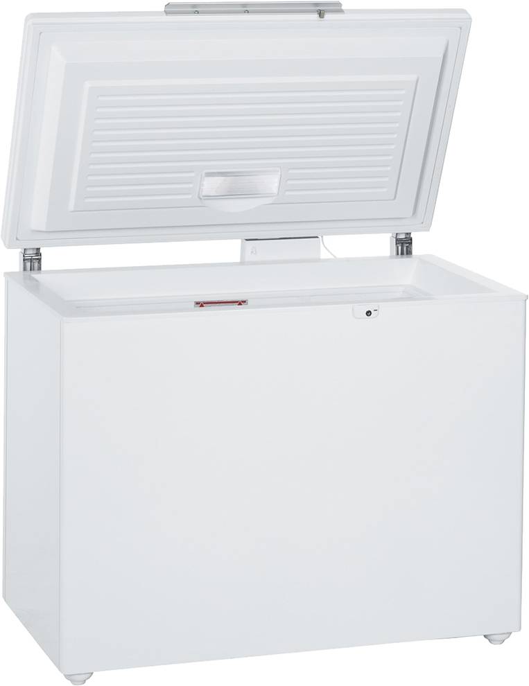 Холодильные камеры для дома: как выбрать лучшую, их виды и характеристики, обзор и рейтинг популярных моделей с их плюсами и минусами