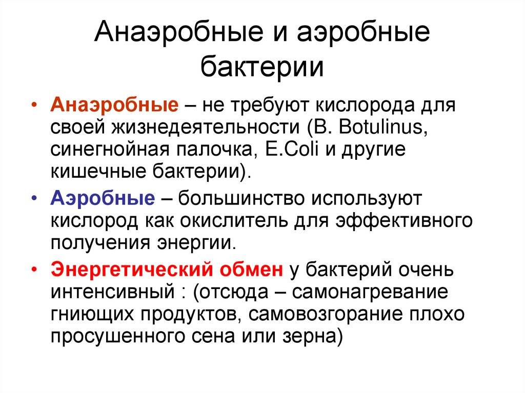 Бактерии для септика: анаэробные и живые микробы не боящиеся химии