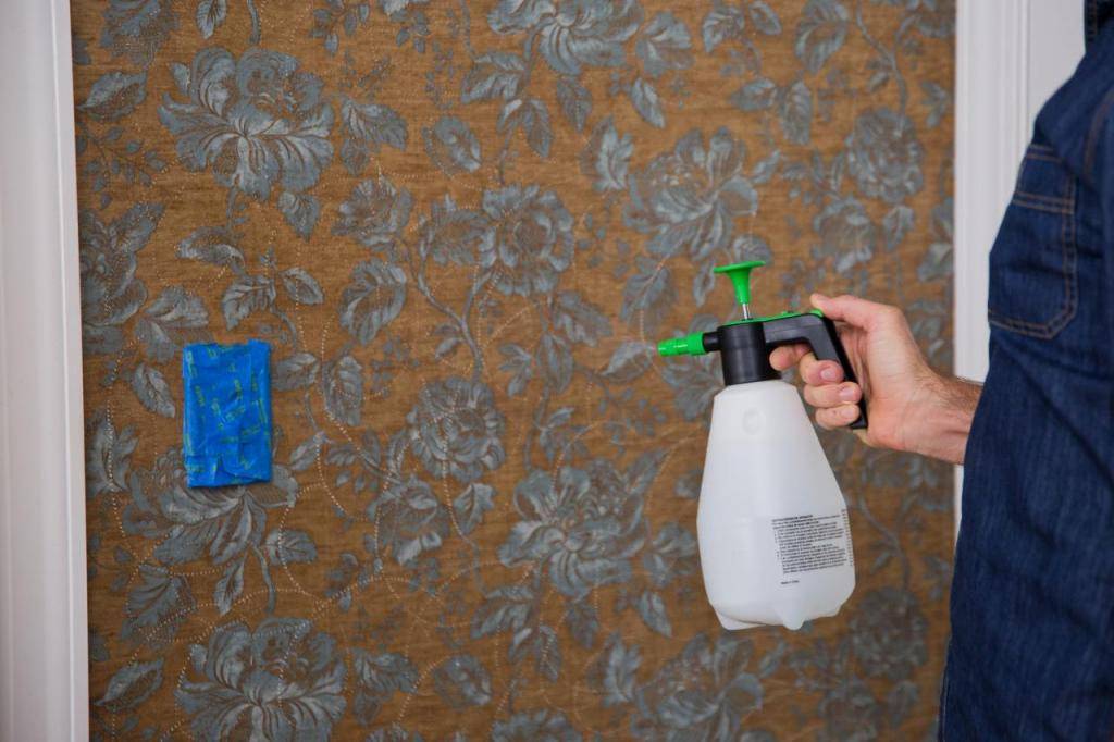 Снятие и удаление жидких обов с поверхности стен в домашних условиях
