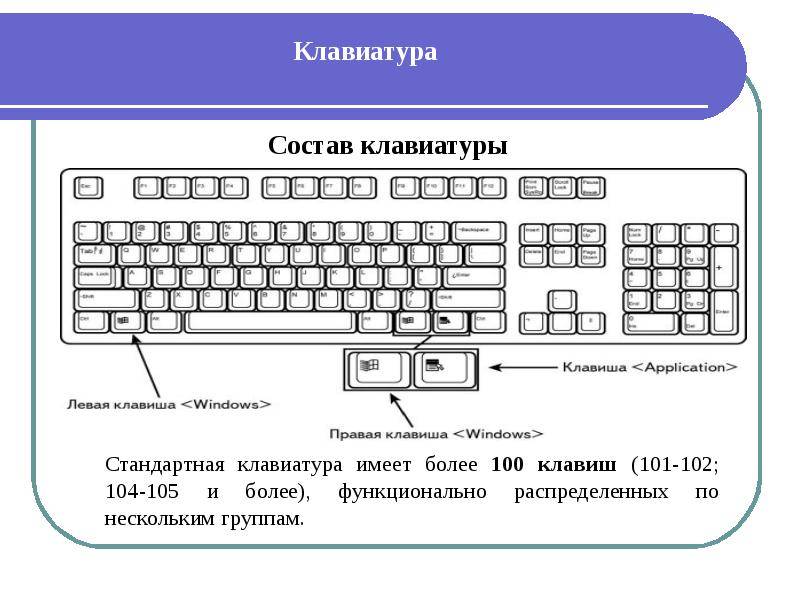 Типы клавиатур: какие бывают и их разновидности?