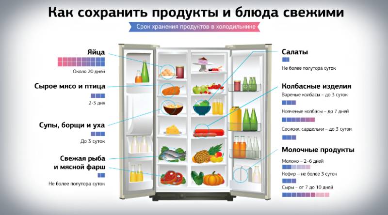 Как правильно хранить продукты в холодильнике