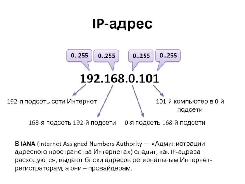 Ip адрес компьютера презентация