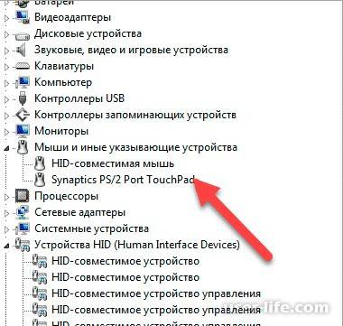 Не работает тачпад на ноутбуке: как оживить курсор?