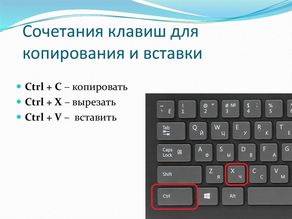 Как копировать текст с картинки на пк