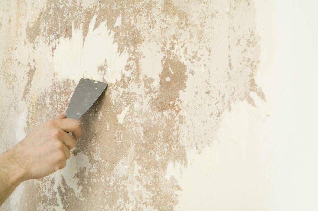 Как снять моющиеся обои со стены: каким образом можно быстро удалить старое покрытие, чем легко будет содрать поклейку на кухне?