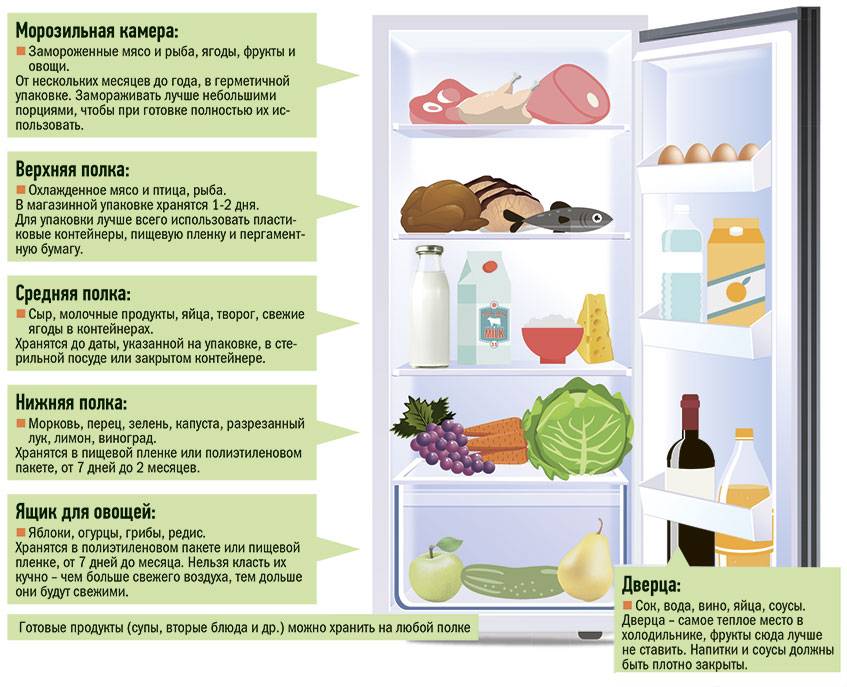 Температура в холодильнике: норма домашних условиях. какая должна быть температура в холодильнике?кухня — вкус комфорта