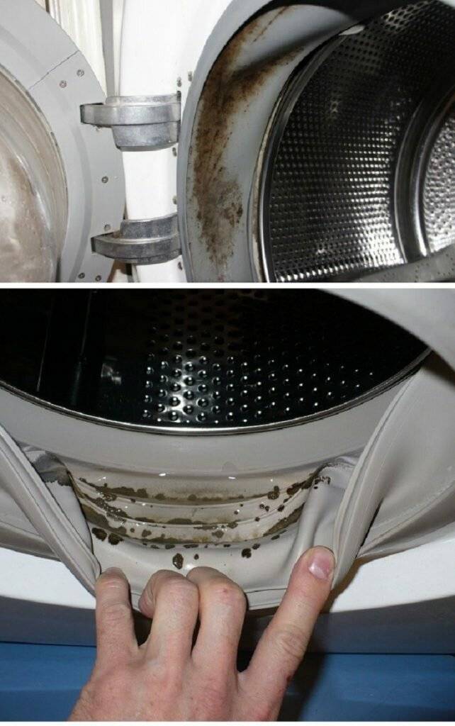 Варианты чистки резинки в стиральной машине от плесени