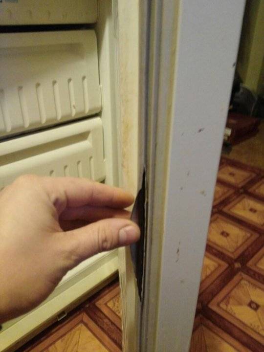 Как восстановить резинку на холодильнике, если она не прилегает и отходит – чиним уплотнитель на дверце легко и просто