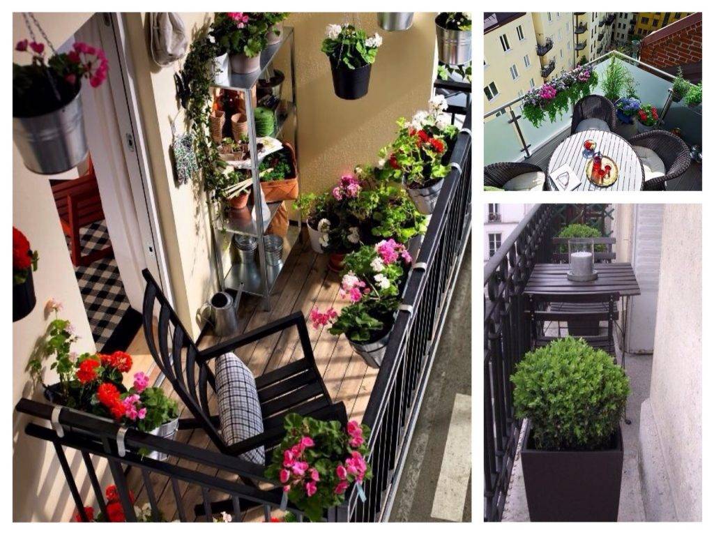 Оформление балкона цветами, полезные советы и идеи, в чем выращивать и как разместить растения - 26 фото