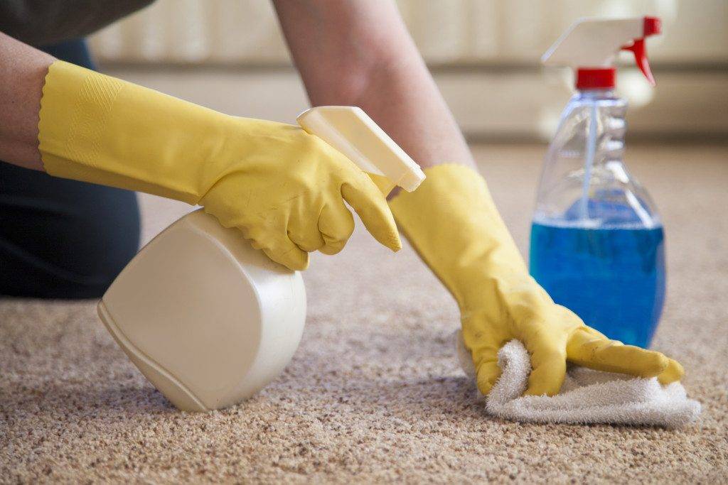 Чем вывести запах кошачьей мочи с ковра в домашних условиях | страж чистоты