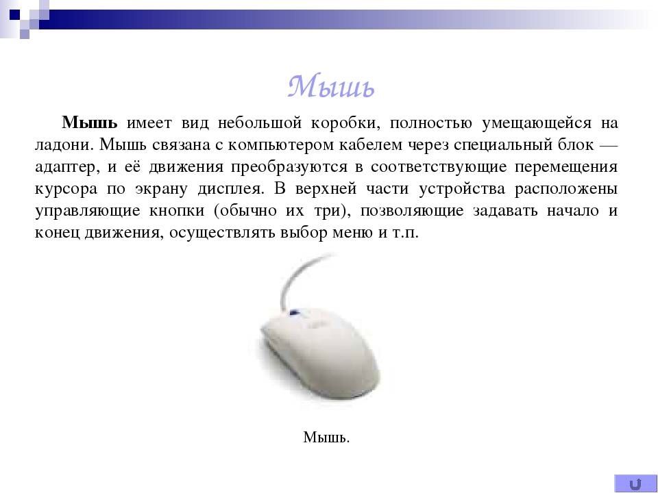 История компьютерной мыши презентация