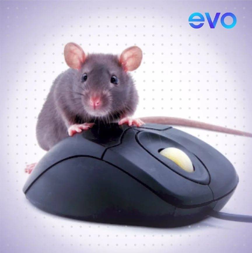 Топ-6 лучших компьютерных мышей в 2021 году