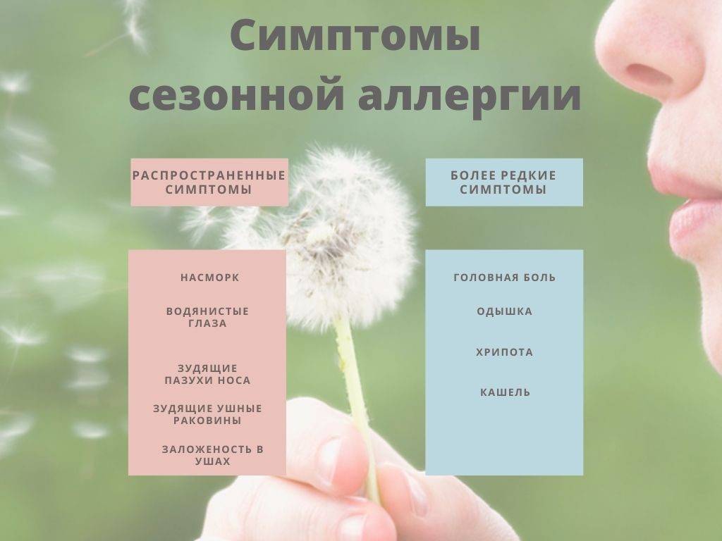 Какая техника поможет при аллергии? разбираемся вместе с врачом-аллергологом — ferra.ru