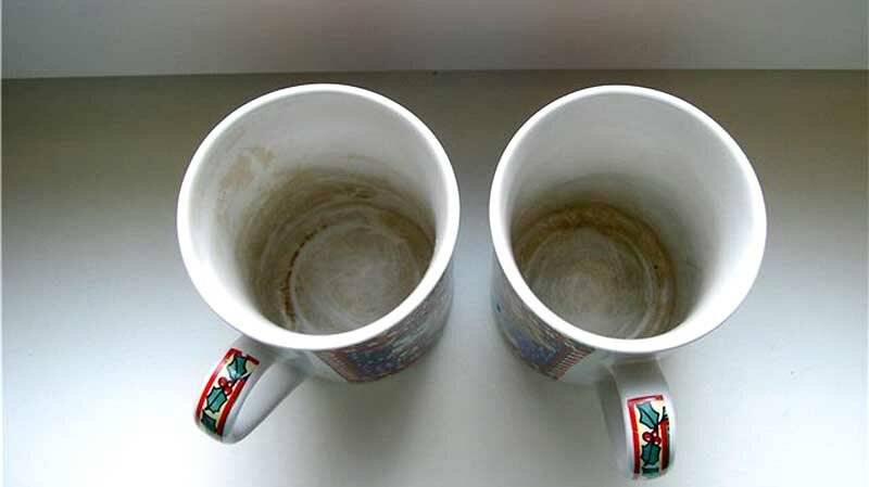 Чем отмыть заварочный чайник от чайного налета: как почистить внутри и снаружи френч пресс