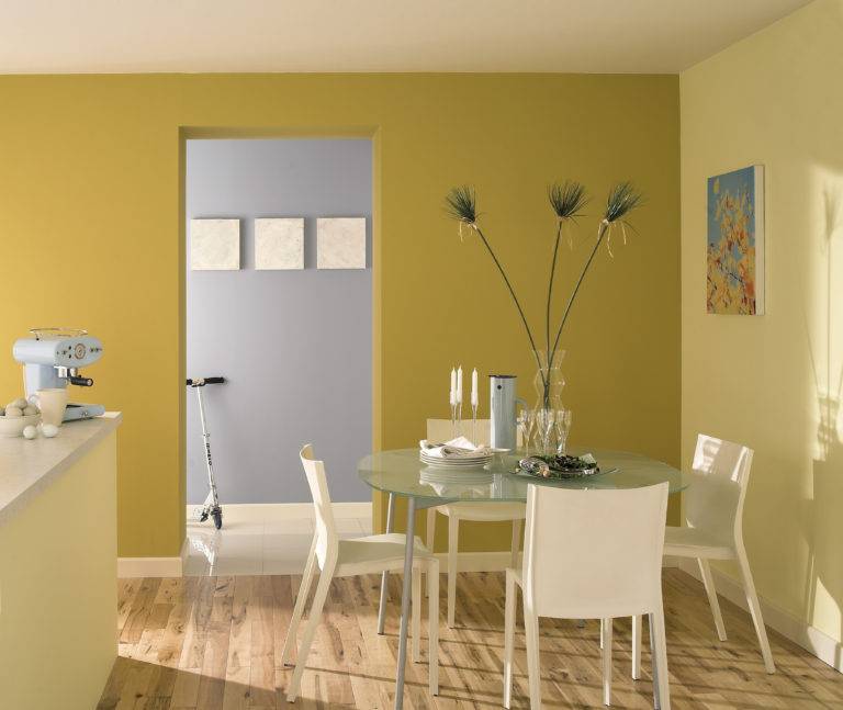 Что нужно для окрашивания стен на кухне: идеи для интерьера, окрашивание в 2 цвета