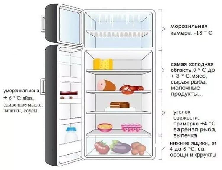 Где в холодильнике холоднее вверху или внизу? На какой полке