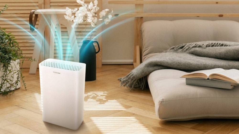 Лучшие средства от пыли в квартире — чем протирать мебель, чтобы не садилась пыль