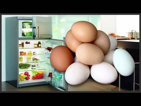 Хранение яиц. как сохранить яйца на зиму