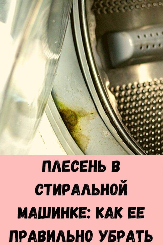 Как быстро избавиться от плесени в стиральной машине?