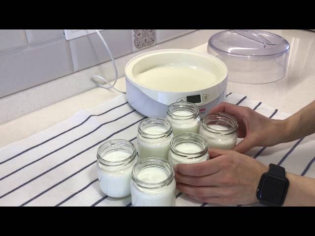 Как сделать йогурт в домашних условиях: рецепты приготовления