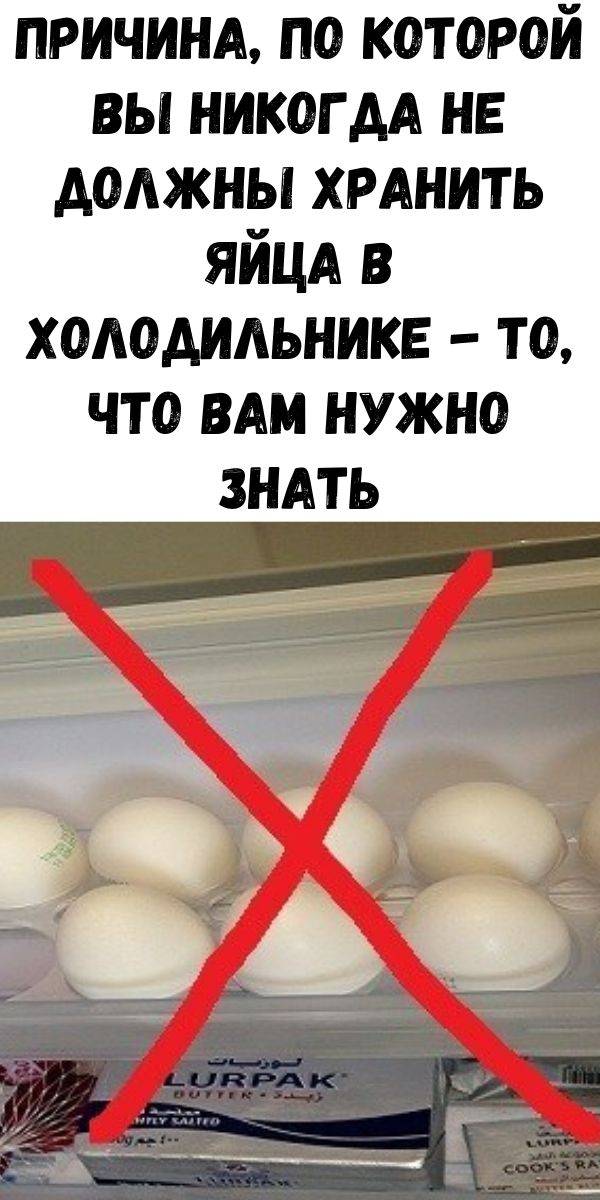 Сколько хранить куриные яйца в холодильнике. Срок яиц в холодильнике. Срок хранения яиц в холодильнике. Срок хранения вареных яиц. Хранение яиц в холодильнике срок хранения.