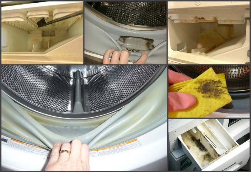 Как продезинфицировать стиральную машину ? 4 средства для дезинфекции