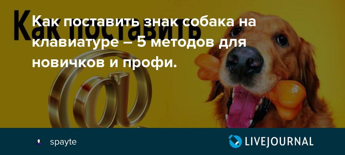Значок "собака" на клавиатуре: как набрать, почему так называется :: syl.ru