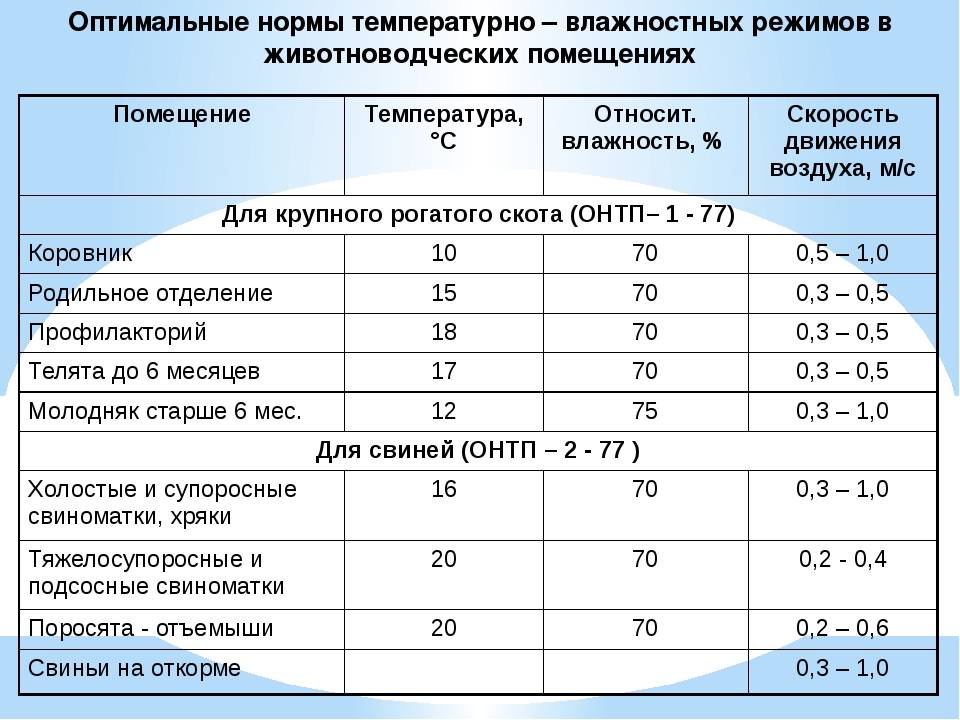 Казарма температура