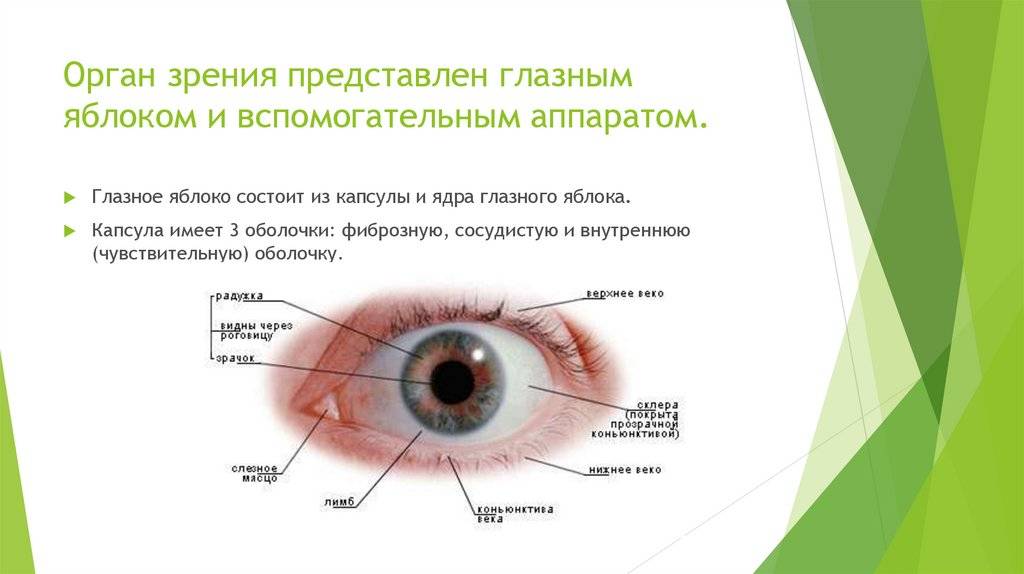 Болят глаза от сварки что делать и как лечить, эффективные глазные капли