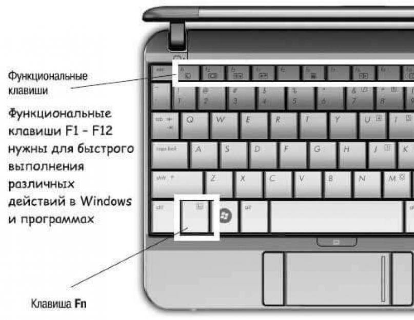 Почему не работает клавиатура на ноутбуке! 3 простых способа решения проблемы.