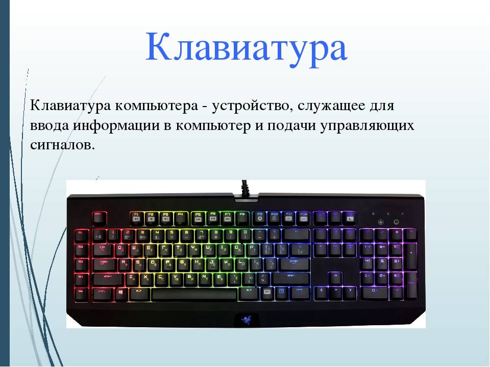 Презентация устройство клавиатуры и мыши настройка параметров работы клавиатуры и мыши