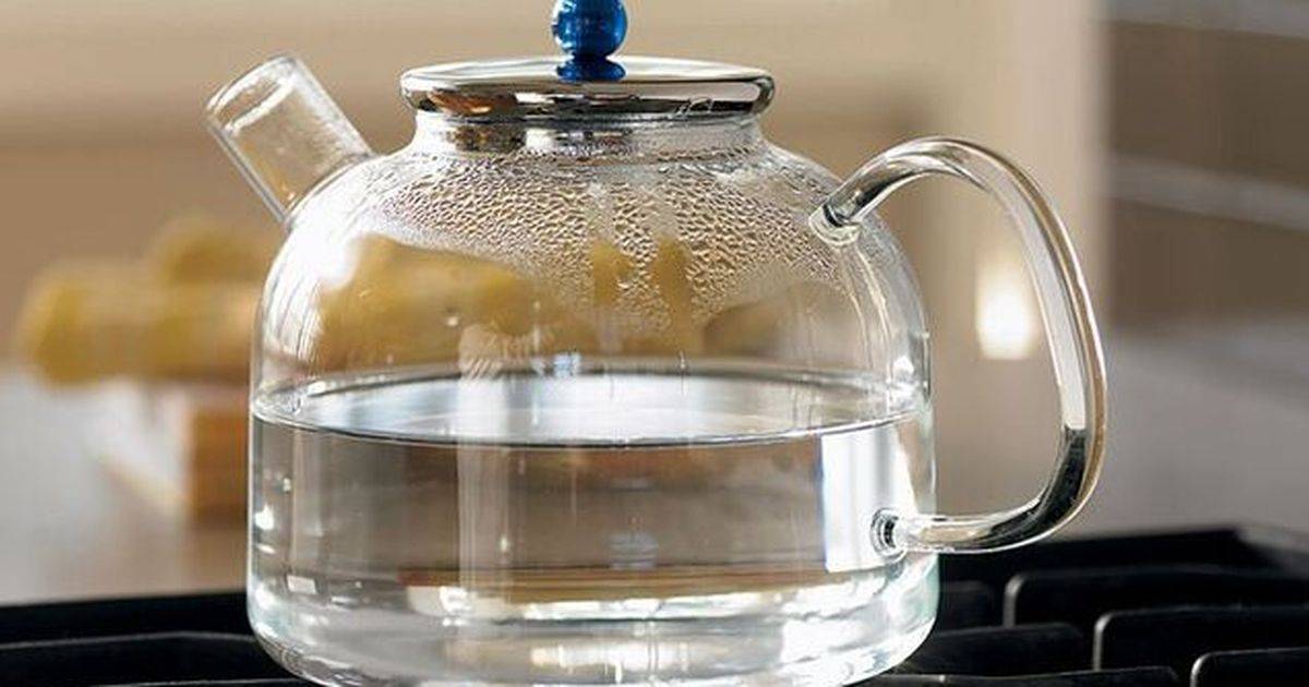 Кипяченая в чайнике вода. Стеклянный чайник для кипячения воды. Вода в чайнике. Кипящая вода в чайнике. Стеклянный чайник с сеткой.