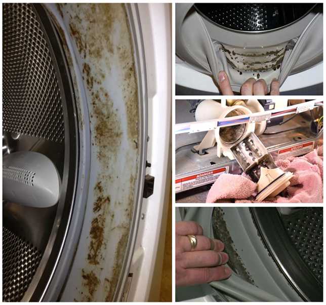 Как избавиться от плесени в стиральной машине – 4 способа и 5 советов