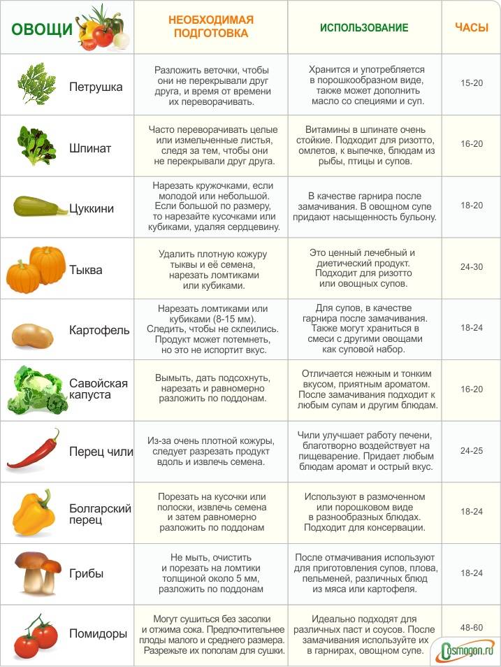 Как выбрать сушилку для фруктов и овощей: основные критерии выбора