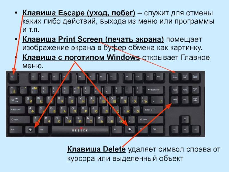 Раскладка клавиатуры компьютера — расположение клавиш, символов и знаков