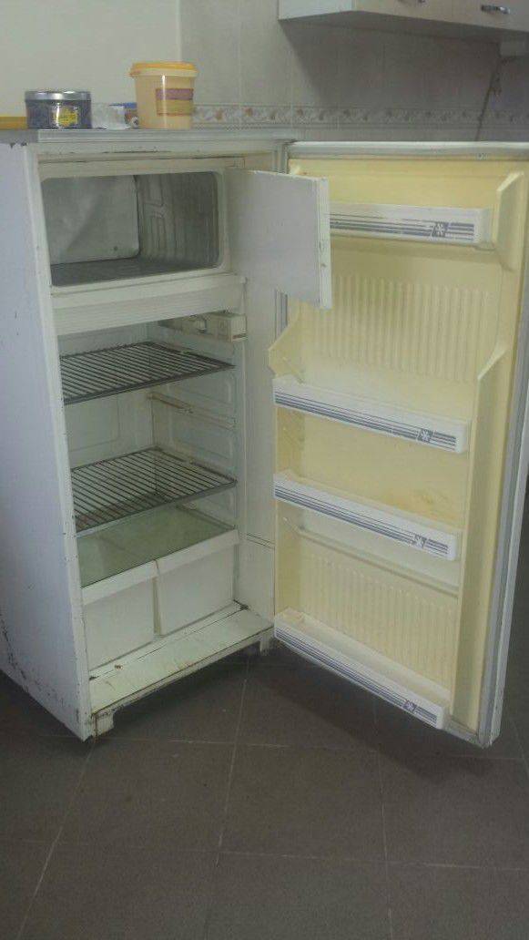Холодильники pozis: как выбрать, модели, отзывы