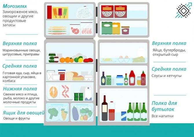 Как правильно хранить продукты, чтобы сохранить здоровье и сэкономить