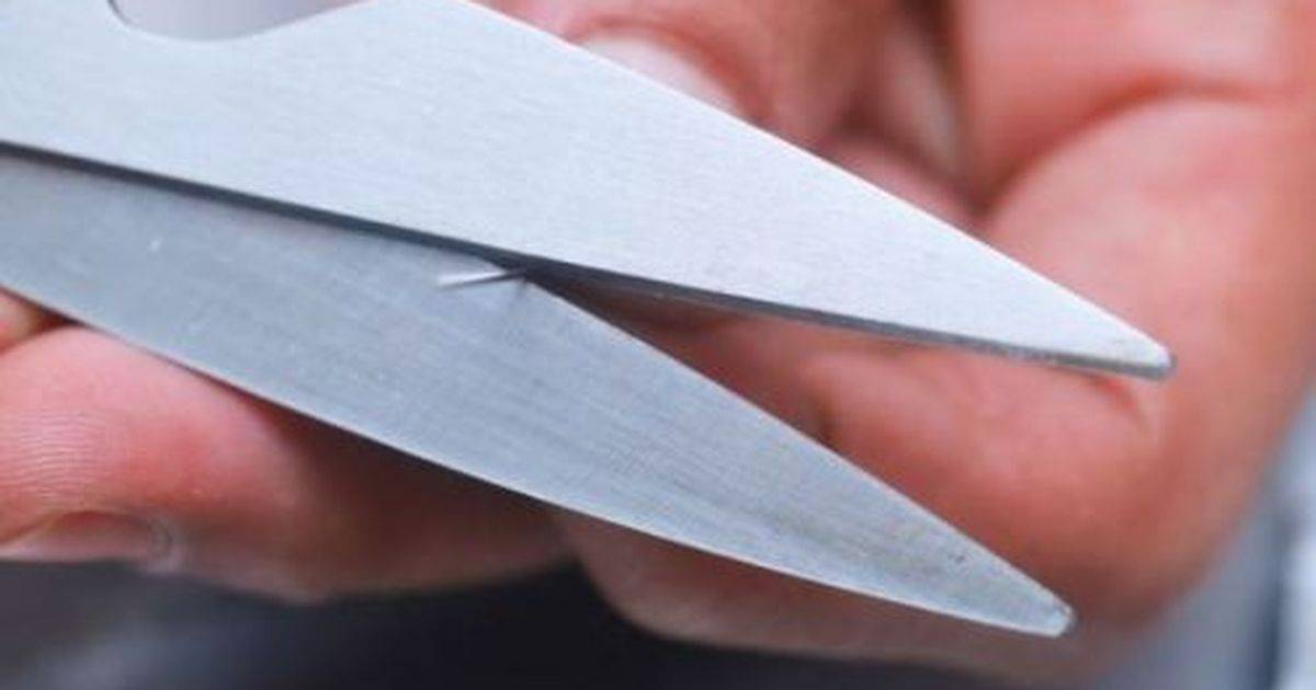Как заточить ножницы: правила, пошаговая инструкция