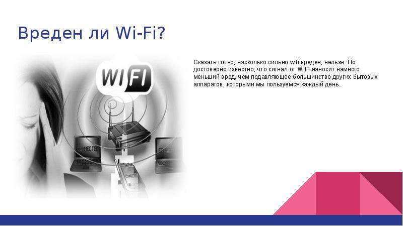 Вред от wi-fi: мы все подопытные крысы