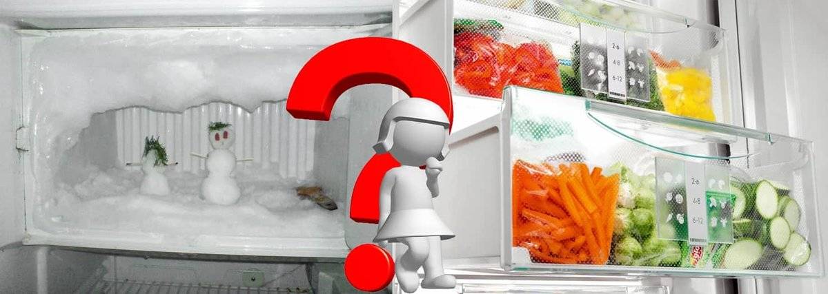Какой холодильник лучше ноу фрост или капельный: выбрать без разморозки, преимущества и недостатки, капельной системы, сравнение, цена