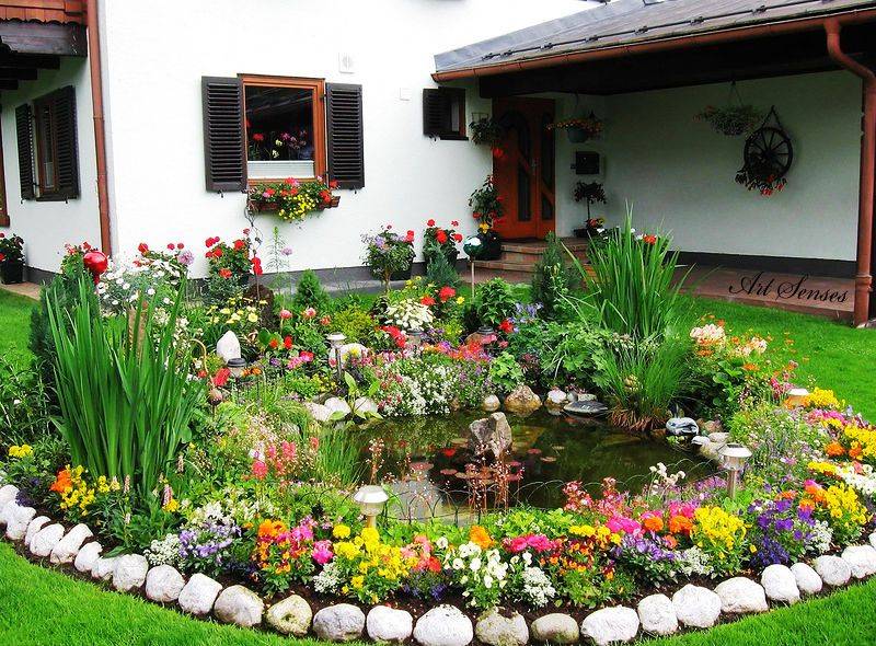 Красивые палисадники перед домом: планировка, дизайн, выбор растений и интересные идеи