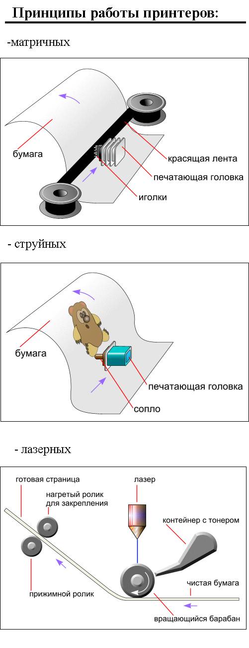 Принцип печати лазерного принтера. Принцип действия матричного принтера. Матричный принтер принцип. Принтеры матричные принцип действия схема.