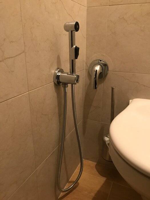 Смеситель с гигиеническим душем для туалета - особенности, плюсы и минусы